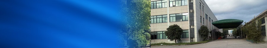 Company profile